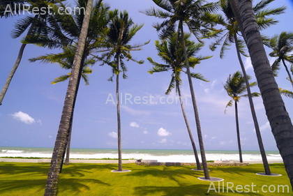 Jivana Villas 32
